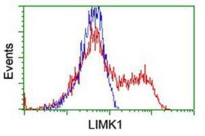 Flow Cytometry: LIM Kinase 1 Antibody (OTI3H6) - Azide and BSA Free [NBP2-71141]