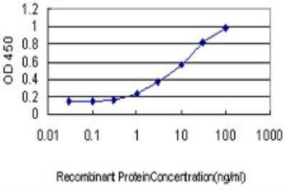 ELISA: LIM domain only 3 Antibody (3G7) [H00055885-M09]