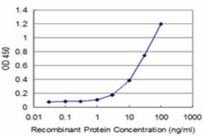 ELISA: LIM domain only 3 Antibody (4A8) [H00055885-M06]