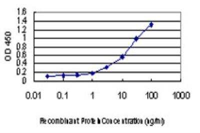 ELISA: LIM domain only 3 Antibody (4C4) [H00055885-M08]