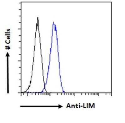 Flow Cytometry: LIM domain only 3 Antibody [NBP2-75090]