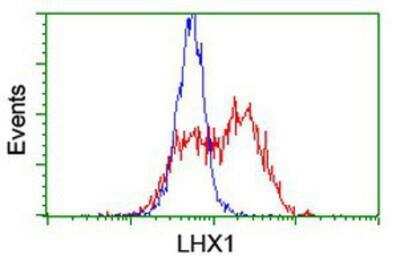 Flow Cytometry: LIM1 Antibody (OTI2D5) [NBP2-01926]