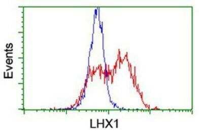 Flow Cytometry: LIM1 Antibody (OTI2D5) - Azide and BSA Free [NBP2-71134]