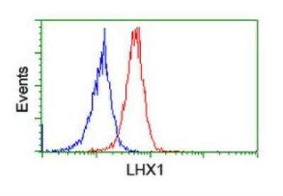 Flow Cytometry: LIM1 Antibody (OTI2D5) [NBP2-01926]