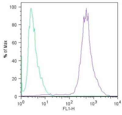 Flow Cytometry: LIN-28A Antibody (14E6-4E6) [NBP2-22481]
