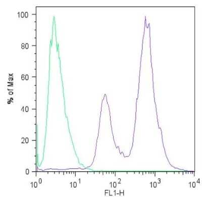 Flow Cytometry: LIN-28A Antibody (14E6-4E6) [NBP2-22481]