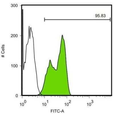 Flow Cytometry: LIN-28A Antibody (717) [NBP2-43672]