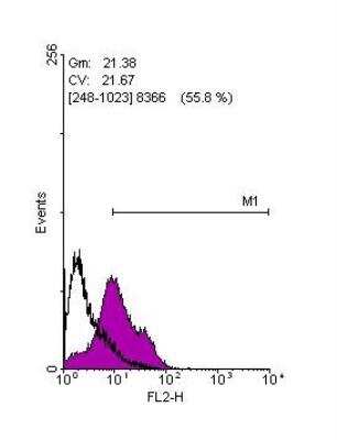 Flow Cytometry: LIN-28A Antibody [NBP2-19355]
