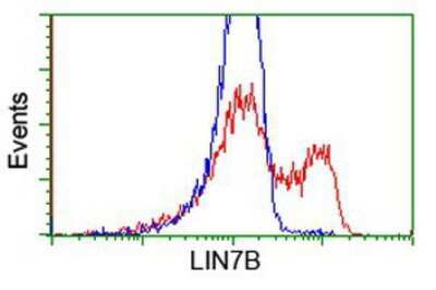 Flow Cytometry: LIN7B Antibody (OTI1C9) [NBP2-02852]