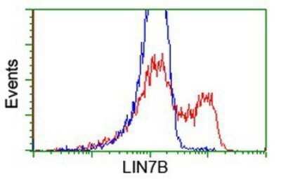 Flow Cytometry: LIN7B Antibody (OTI1C9) - Azide and BSA Free [NBP2-72131]