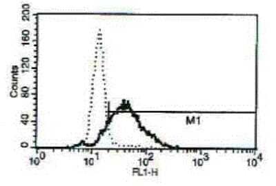 Flow Cytometry: LL-37 Antibody (B-T37) - Azide and BSA Free [NBP3-18120]