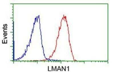 Flow Cytometry: LMAN1 Antibody (OTI1A8) - Azide and BSA Free [NBP2-71152]
