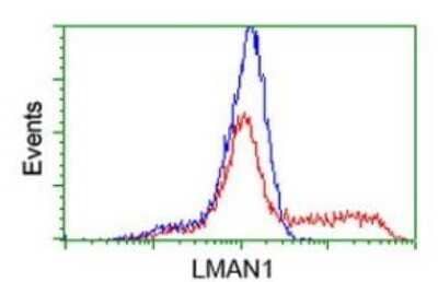 Flow Cytometry: LMAN1 Antibody (OTI1A8) - Azide and BSA Free [NBP2-71152]