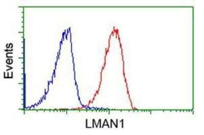 Flow Cytometry: LMAN1 Antibody (OTI1A8) [NBP2-03381]