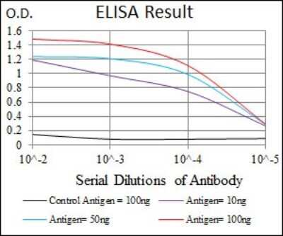 ELISA: LMO2 Antibody (4D8) - BSA Free [NBP2-37442]