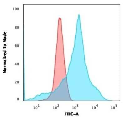 Flow Cytometry: LMO2 Antibody (LMO2/1971) [NBP3-07249]