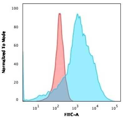 Flow Cytometry: LMO2 Antibody (LMO2/3147R) - Azide and BSA Free [NBP3-08945]