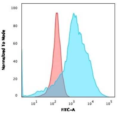 Flow Cytometry: LMO2 Antibody (LMO2/3147R) [NBP3-07201]