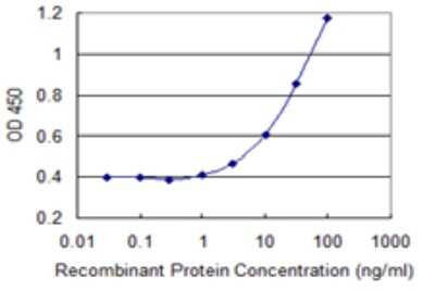 ELISA: LMO4 Antibody (2B6) [H00008543-M02]