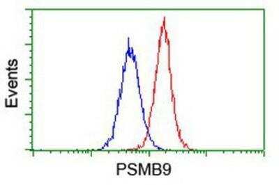 Flow Cytometry: LMP2/PSMB9 Antibody (OTI1D1) [NBP2-01817]