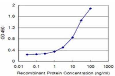ELISA: LMX1b Antibody (1D12) [H00004010-M08]