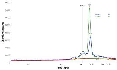 Simple Western: LONP1 Antibody [NBP1-81734]