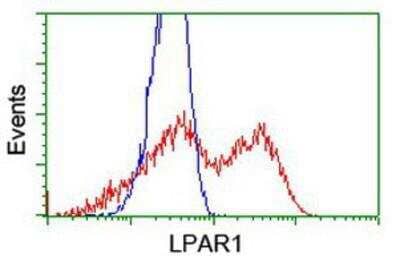 Flow Cytometry: LPAR1/LPA1/EDG-2 Antibody (OTI1G6) [NBP2-01354]