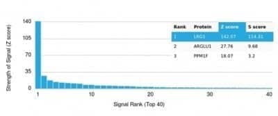 Protein Array: LRG1 Antibody (LRG1/4882) - Azide and BSA Free [NBP3-14262]