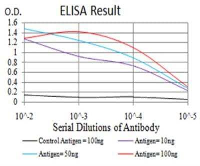 ELISA: LRP-1 Antibody (1C8G6) - BSA Free [NBP2-52506]