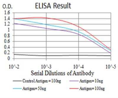 ELISA: LRP-1 Antibody (1F6C6) - BSA Free [NBP2-52507]