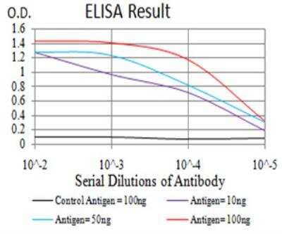 ELISA: LRP-1 Antibody (3F12E2) - BSA Free [NBP2-52505]