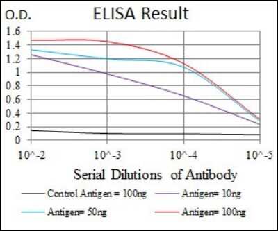 ELISA: LRP-5 Antibody (2B11) - BSA Free [NBP2-37510]