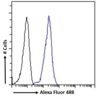 Flow Cytometry: LRP-6 Antibody [NB100-1475]
