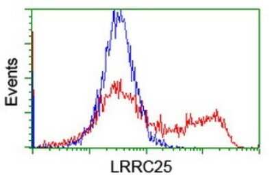 Flow Cytometry: LRRC25 Antibody (OTI1A2) [NBP2-45673]