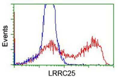 Flow Cytometry: LRRC25 Antibody (OTI1D9) [NBP2-03747]