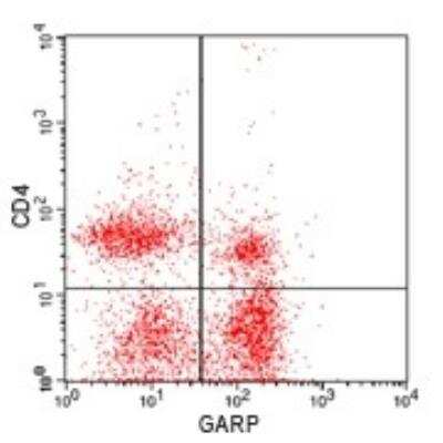 Flow Cytometry: LRRC32/GARP Antibody [NBP2-24664]