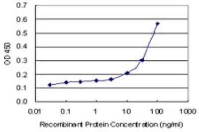 ELISA: LRRN1/NLRR-1 Antibody (3D11) [H00057633-M05-100ug]