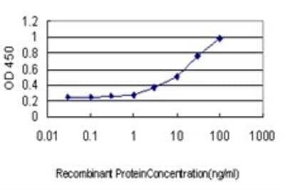 ELISA: LSD1 Antibody (2E7) [H00023028-M04]