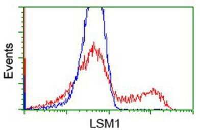 Flow Cytometry: LSM1 Antibody (OTI5C6) [NBP2-00918]