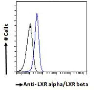 Flow Cytometry: LXR alpha/beta Antibody [NB100-1465]
