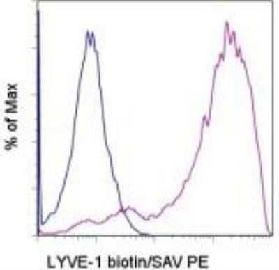 Flow Cytometry: LYVE-1 Antibody (ALY7) - BSA Free [NBP1-43411]