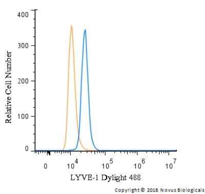 Flow Cytometry: LYVE-1 Antibody - BSA Free [NB100-725]