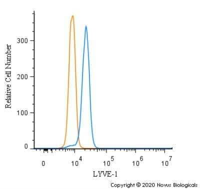 Flow Cytometry: LYVE-1 Antibody - BSA Free [NB100-725]
