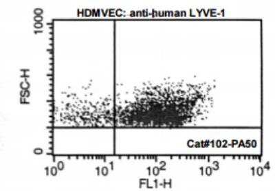 Flow Cytometry: LYVE-1 Antibody [NB600-1005]