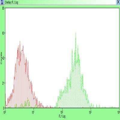 Flow Cytometry: LYVE-1 Antibody Pack [NB100-939]
