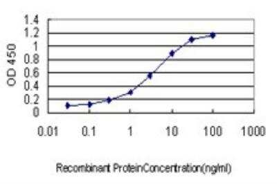 ELISA: LZTFL1 Antibody (7F6) [H00054585-M01]