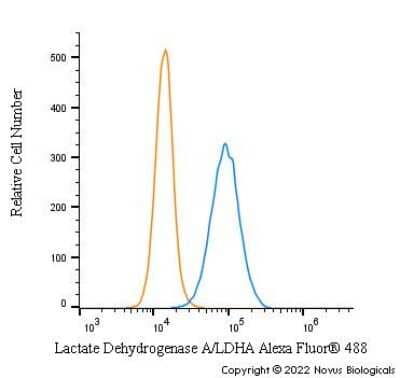 Flow Cytometry: Lactate Dehydrogenase A/LDHA Antibody - BSA Free [NBP1-48336]