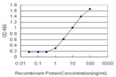 ELISA: Lactate Dehydrogenase B Antibody (2H6) [H00003945-M01]