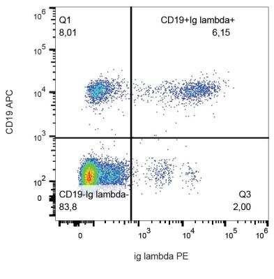 Flow Cytometry: Lambda Light Chain Antibody (1-155-2) - BSA Free [NBP1-79124]