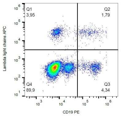 Flow Cytometry: Lambda Light Chain Antibody (1-155-2) - BSA Free [NBP1-79124]